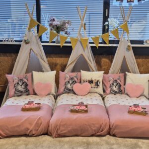 Tipi tentjes - Thema Spa | hippetaarten.nl | deheerlijketaart.nl